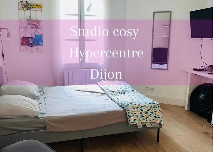 Le Pref\' Rose : Studio Centre Historique, 2 Prs