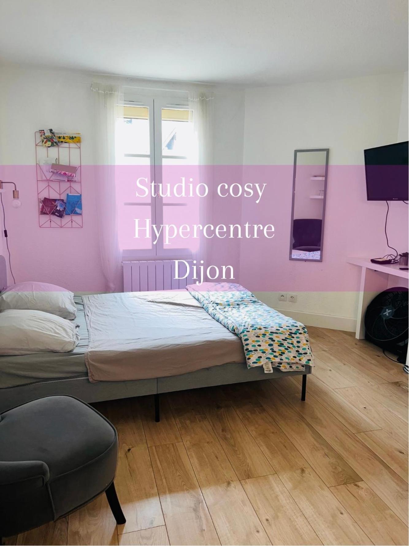 Appartement Le Pref' Rose : Studio Centre Historique, 2 Prs